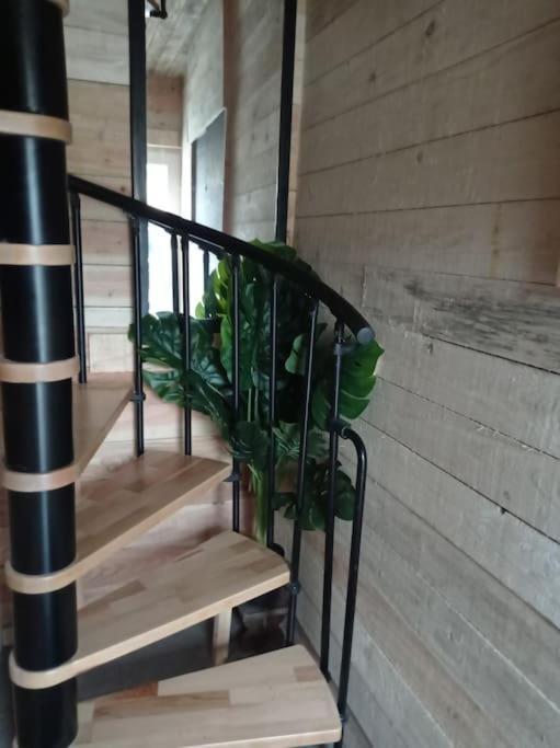TellinLe P'Tit Nid : Mini Loft Pour 2 A 4 Personnes别墅 外观 照片
